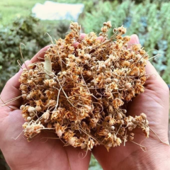 Aydın Ihlamur Çayı