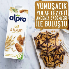 Alpro Yulaf Sütü 1 lt
